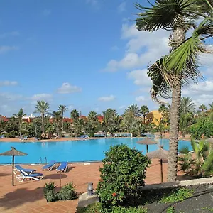 Gardenia, Oasis Tamarindo Corralejo